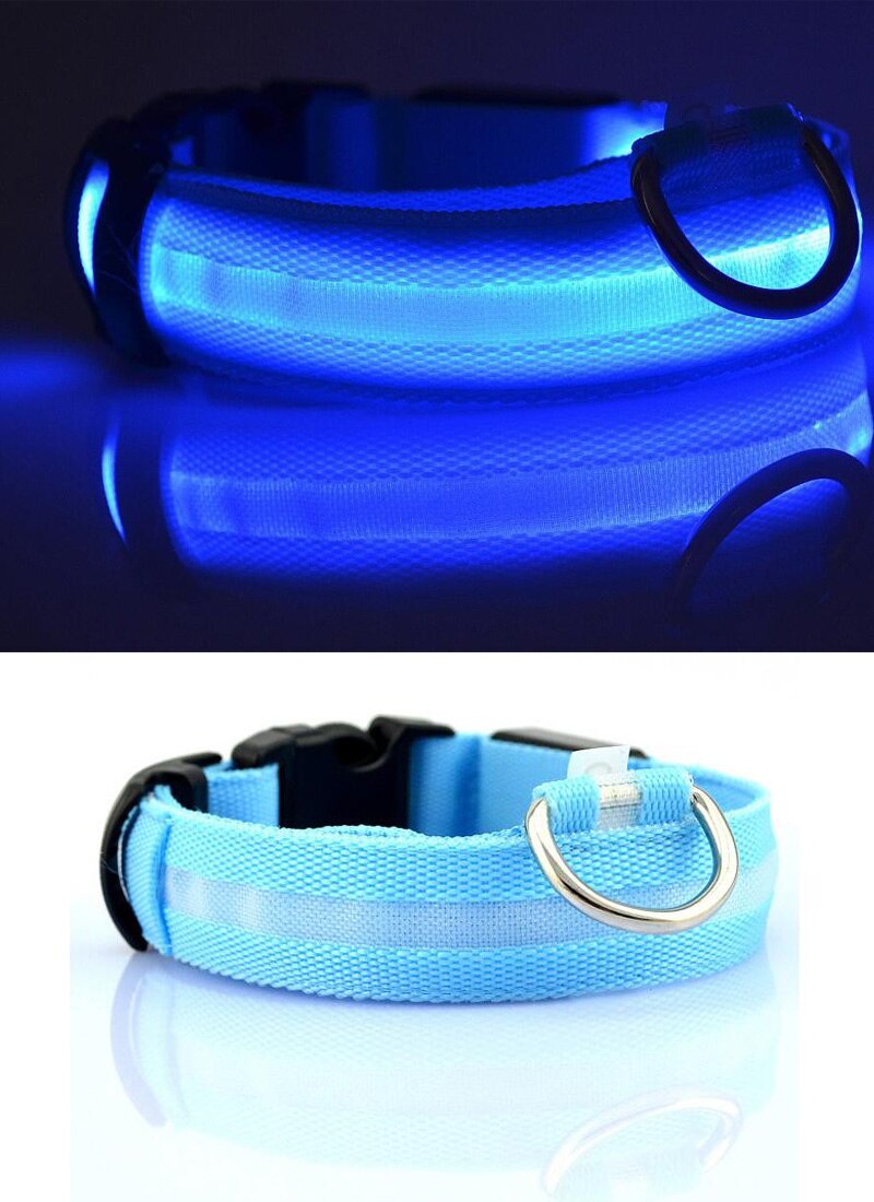 Collar-Blue